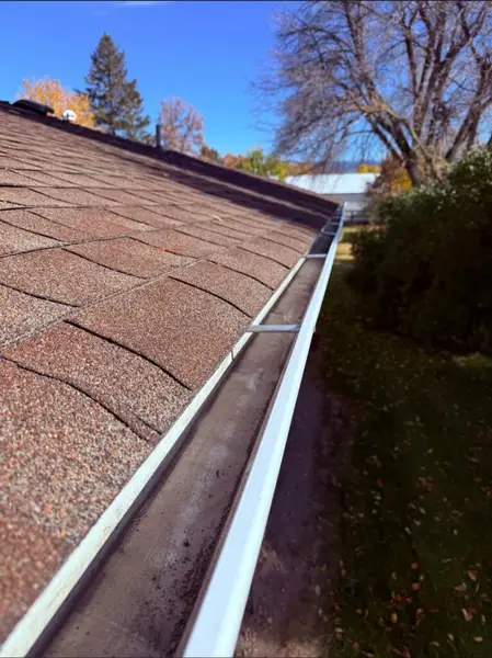 Gutter Cleaning Service in Hamilton